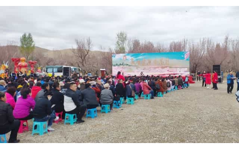 敦煌月牙泉杏林大型活動(dòng)場(chǎng)地